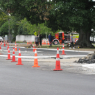 29. A median island. Cambridge Tree Trust